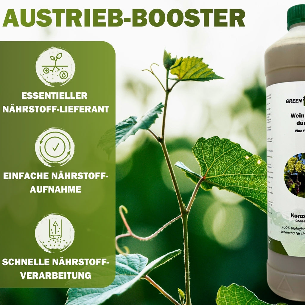 Jetzt Weinreben- & Traubendünger