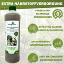 GreenPanda - 100% biologisch - Grünpflanzendünger & Palmdünger - 1 Liter-Garten-EKNA GmbH & Co. KG