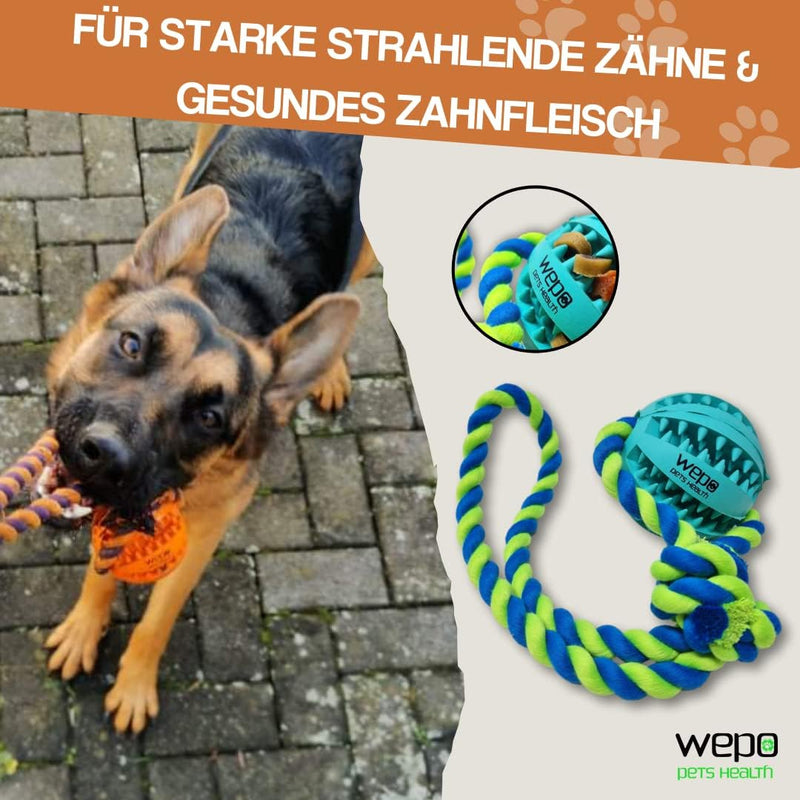 WEPO - Wurfball Ø 5cm - Schleuderspielzeug mit Dentalball für Hunde - Div. Farben-PET_SUPPLIES-EKNA GmbH & Co. KG