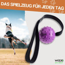 WEPO Hundeball mit Schnur - Hundespielzeug Ball - Wurfspielzeug für Hunde - Div. Farben-PET_SUPPLIES-EKNA GmbH & Co. KG