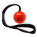 WEPO Hundeball mit Schnur - Hundespielzeug Ball - Wurfspielzeug für Hunde - Div. Farben-PET_SUPPLIES-EKNA GmbH & Co. KG