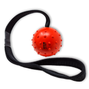 WEPO Hundeball mit Schnur - Hundespielzeug Ball - Wurfspielzeug für Hunde - Div. Farben-PET_SUPPLIES-EKNA GmbH & Co. KG