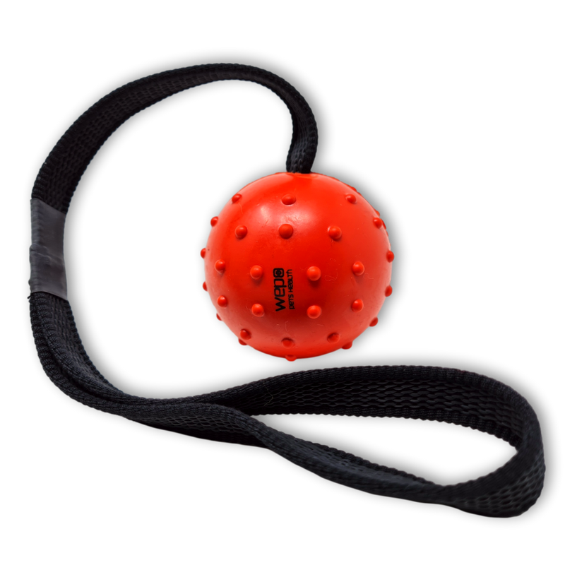 WEPO Hundeball mit Schnur - Hundespielzeug Ball - Wurfspielzeug für Hunde - Div. Farben-PET_SUPPLIES-EKNA GmbH & Co. KG