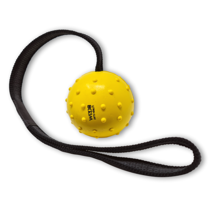 WEPO Hundeball mit Schnur - Hundespielzeug Ball - Wurfspielzeug für Hunde - Div. Farben-PET_SUPPLIES-EKNA GmbH & Co. KG