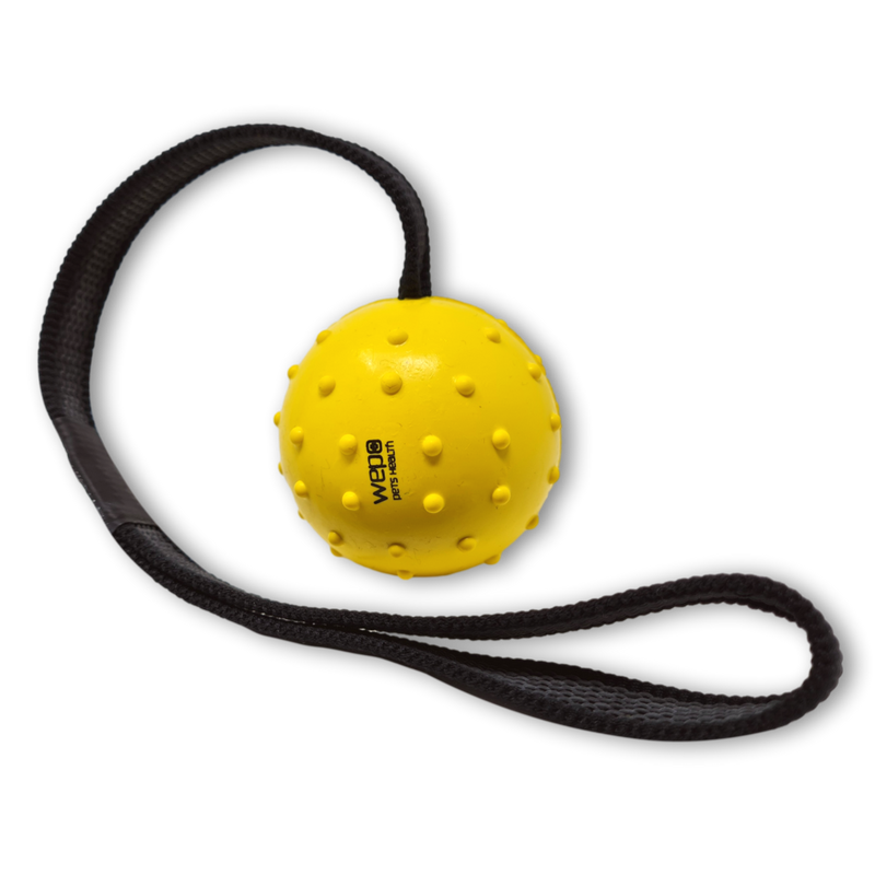 WEPO - Wurfball - Welpenspielzeug mit Seil - Div. Farben-PET_SUPPLIES-EKNA GmbH & Co. KG