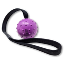 WEPO Hundeball mit Schnur - Hundespielzeug Ball - Wurfspielzeug für Hunde - Div. Farben-PET_SUPPLIES-EKNA GmbH & Co. KG