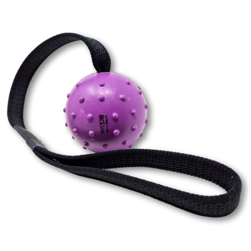 WEPO Hundeball mit Schnur - Hundespielzeug Ball - Wurfspielzeug für Hunde - Div. Farben-PET_SUPPLIES-EKNA GmbH & Co. KG