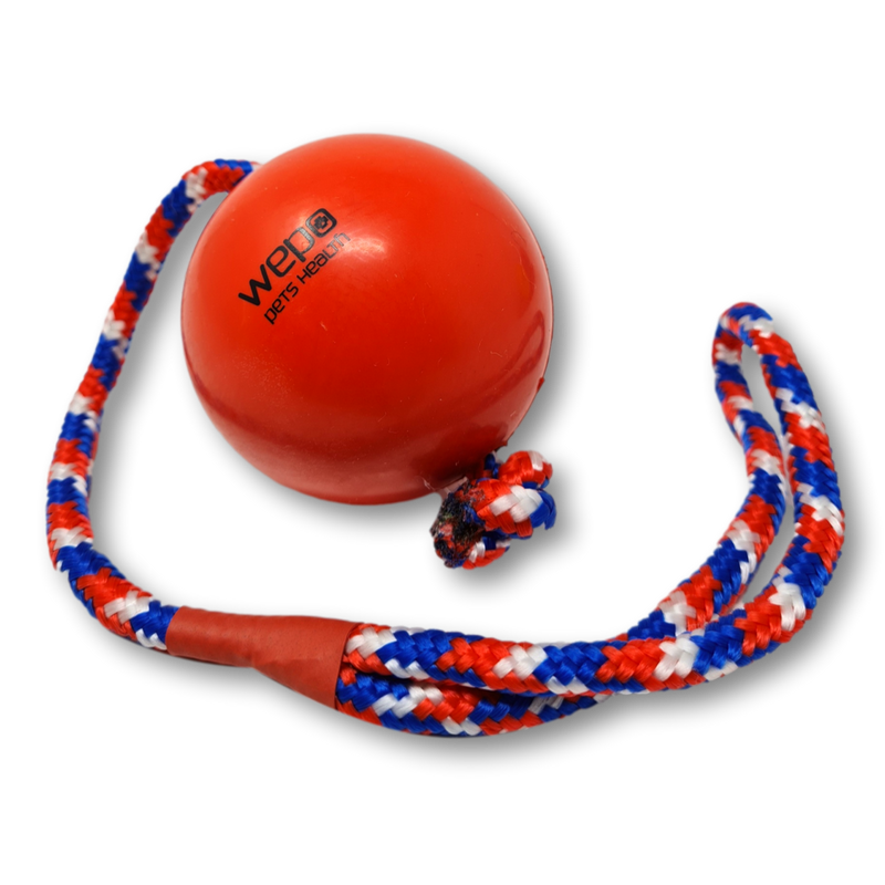 WEPO - Schleuderball mit Seil - 200g - Wurfball für Hunde - Div. Farben-PET_SUPPLIES-EKNA GmbH & Co. KG