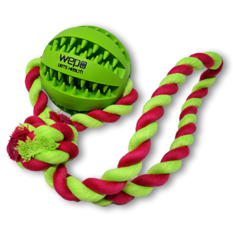 WEPO - Wurfspielzeug mit buntem Seil - Dentalball Ø 7cm - Div. Farben-PET_SUPPLIES-EKNA GmbH & Co. KG