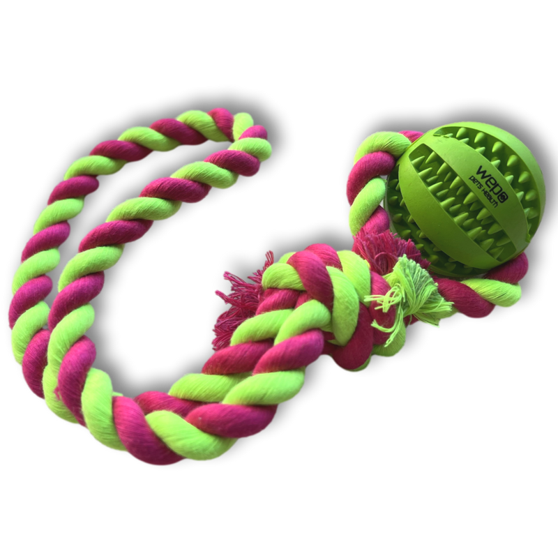 WEPO - Wurfball Ø 5cm - Schleuderspielzeug mit Dentalball für Hunde - Div. Farben-PET_SUPPLIES-EKNA GmbH & Co. KG