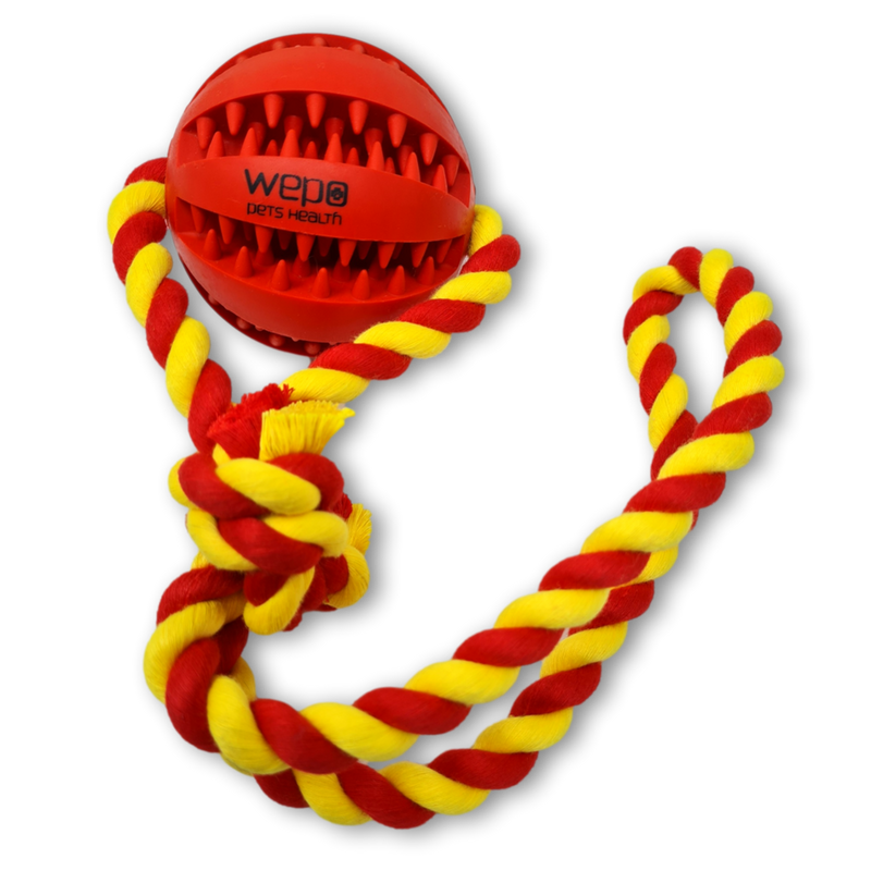 WEPO - Wurfspielzeug mit buntem Seil - Dentalball Ø 7cm - Div. Farben-PET_SUPPLIES-EKNA GmbH & Co. KG