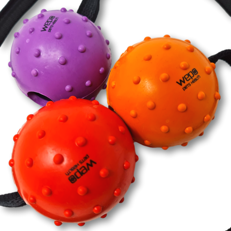 WEPO Hundeball mit Schnur - 3er Set Wurfspielzeug für Hunde-PET_SUPPLIES-EKNA GmbH & Co. KG