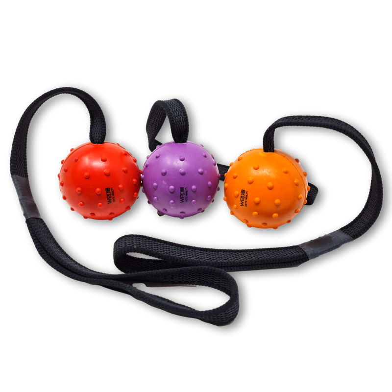 WEPO Hundeball mit Schnur - 3er Set Wurfspielzeug für Hunde-PET_SUPPLIES-EKNA GmbH & Co. KG