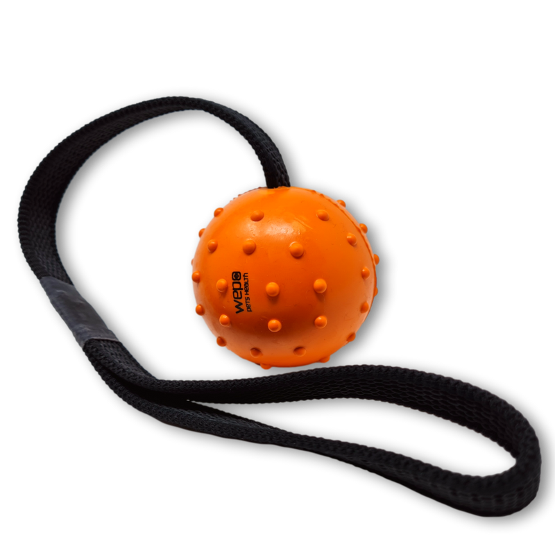 WEPO Hundeball mit Schnur - Hundespielzeug Ball - Wurfspielzeug für Hunde - Div. Farben-PET_SUPPLIES-EKNA GmbH & Co. KG