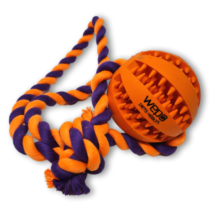 WEPO - Wurfspielzeug mit buntem Seil - Dentalball Ø 7cm - Div. Farben-PET_SUPPLIES-EKNA GmbH & Co. KG