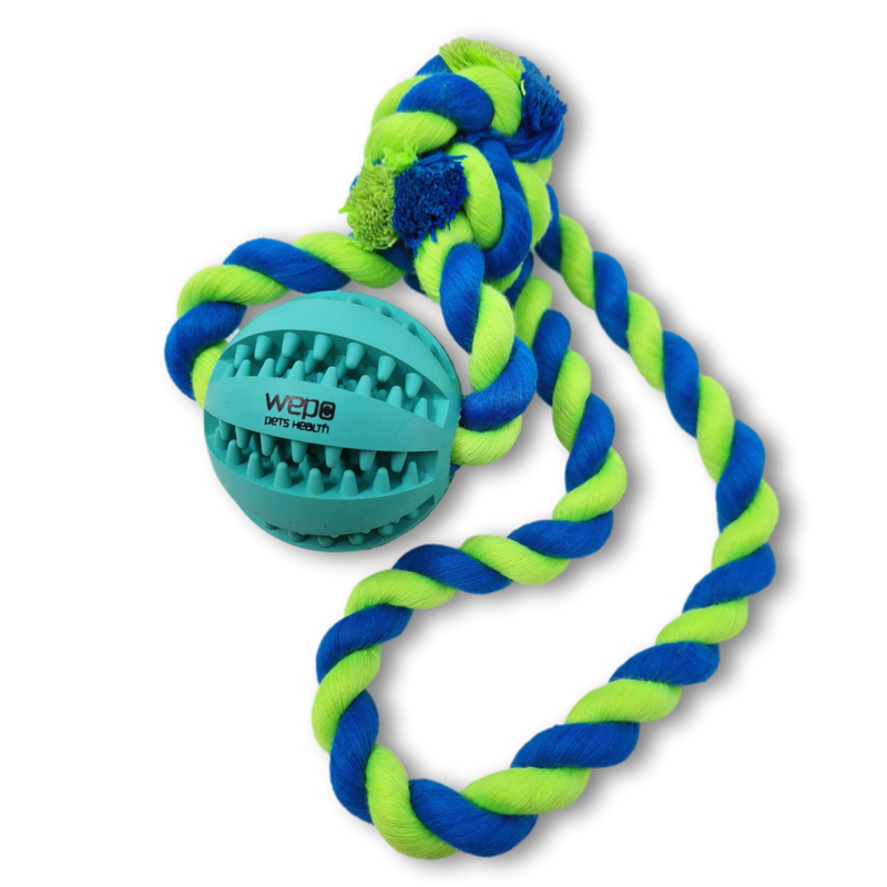 WEPO - Wurfball Ø 5cm - Schleuderspielzeug mit Dentalball für Hunde - Div. Farben-PET_SUPPLIES-EKNA GmbH & Co. KG