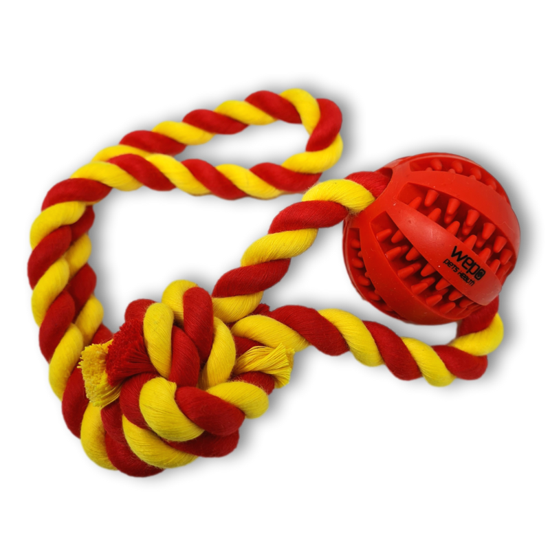 WEPO - Wurfball Ø 5cm - Schleuderspielzeug mit Dentalball für Hunde - Div. Farben-PET_SUPPLIES-EKNA GmbH & Co. KG