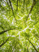 EKNA Bong Sieb - 10 Premium Schuesselsiebe 15mm - Kugelsieb grob & Rauch Filter - Einhängesiebe für Pfeifen mit Rand-EKNA GmbH & Co. KG