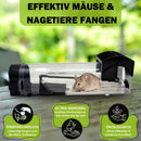 EKNA Mäuse Lebendfalle - Ratten Lebendfalle - Ultrasensible Lebendfalle Ratte-Garten-EKNA GmbH & Co. KG
