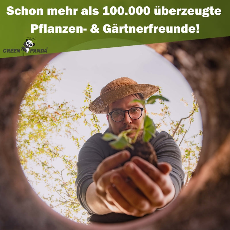 GreenPanda - 100% biologisch - Monstera & Philodendren Dünger - 1 Liter-Garten-EKNA GmbH & Co. KG