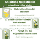 GreenPanda - Gelbsticker/Gelbfallen gegen Trauermücken & Fliegen - 30 oder 60 Stk.-Insektenschutz-EKNA GmbH & Co. KG