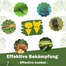 GreenPanda - Gelbsticker/Gelbfallen gegen Trauermücken & Fliegen - 30 oder 60 Stk.-Insektenschutz-EKNA GmbH & Co. KG