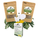 GreenPanda - Insektenschutz - 2x Trauermücken Pulver + 1x Gelbsticker - Set-Insektenschutz-EKNA GmbH & Co. KG