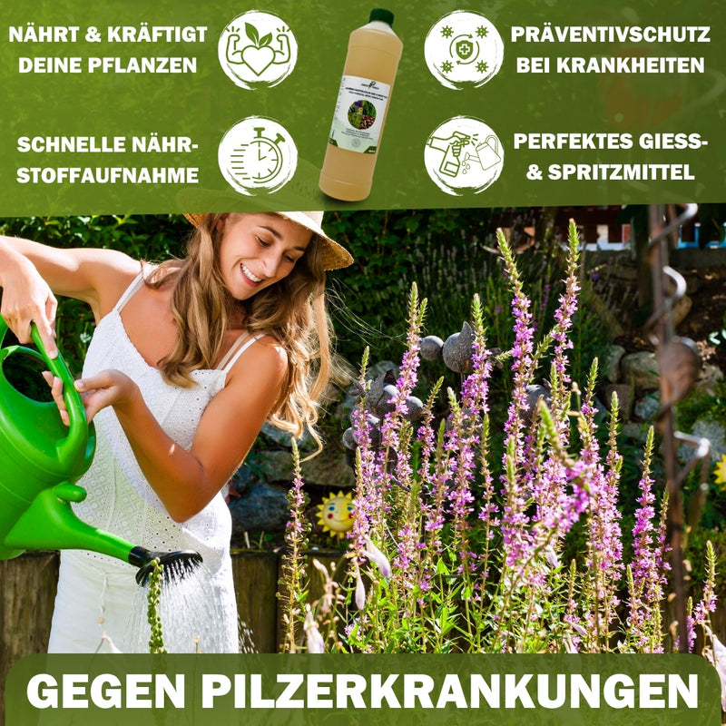 GreenPanda - 100% biologisch - Acker-Schachtelhalm-Konzentrat - Pflanzenstärkungsmittel - 1l oder 3l !-Garten-EKNA GmbH & Co. KG