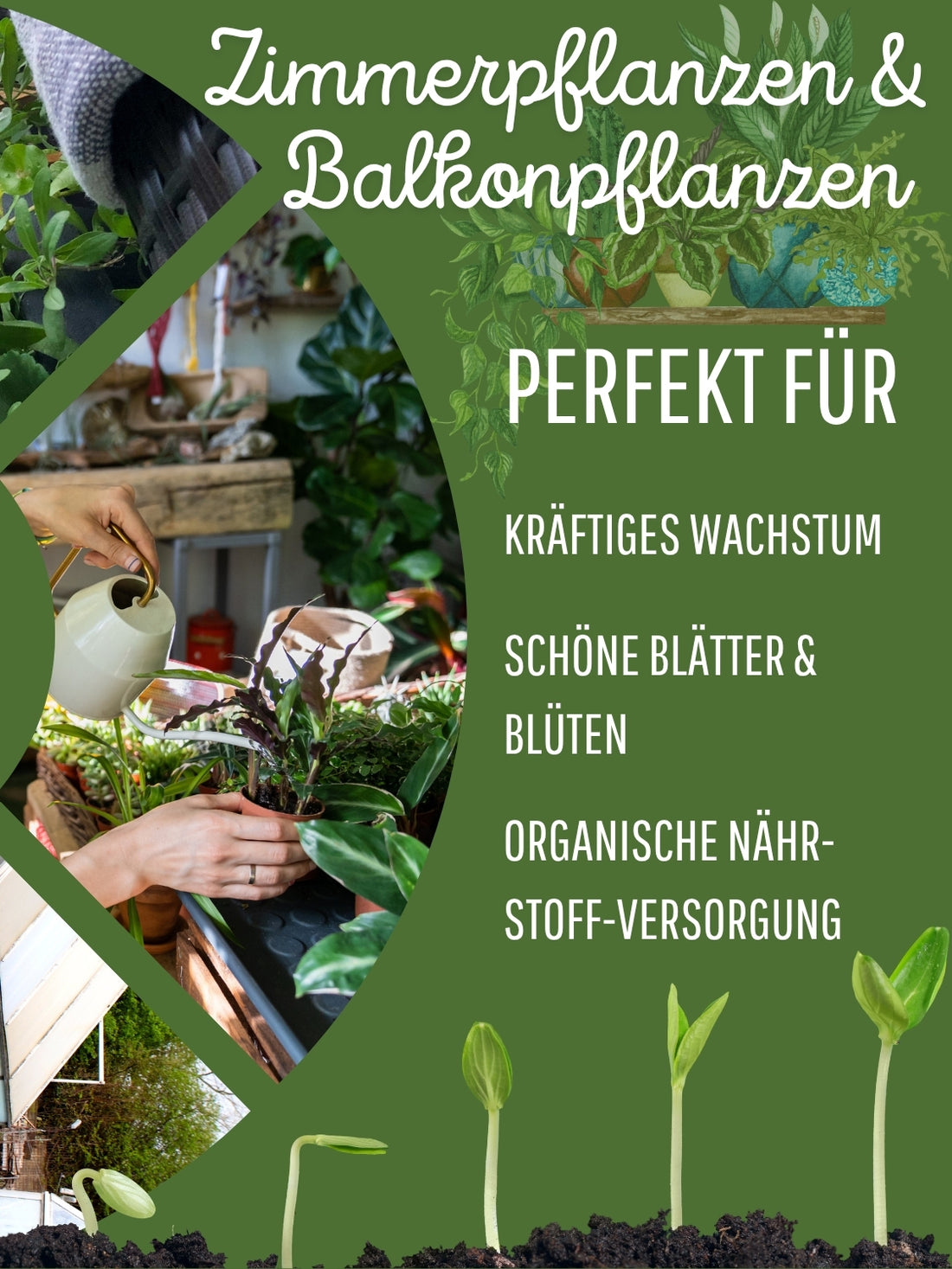 Jetzt Brennnesseljauche