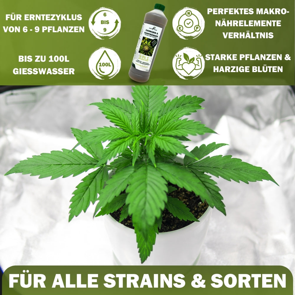 Jetzt Hanfpflanzendünger
