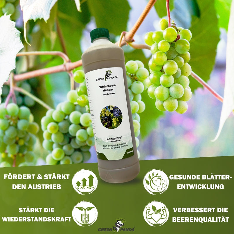 Jetzt Weinreben- & Traubendünger