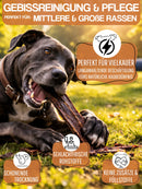 WEPO Rinderdörrfleisch Hund - 1kg Pansen/Rinderschlund für Hunde getrocknet - 8-12cm Kausnacks - Barf-Leckerli 100% Rind - Reinigung & Pflege des Gebiss - Befriedigt das Kaubedürfnis-PET_SUPPLIES-EKNA GmbH & Co. KG