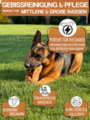 WEPO Rinderkopfhaut für Hunde 1kg - Kausnack Hund - getrocknete Rinderkopfhaut 20cm - Hunde Snack - Natürliche Zahnreinigung, naturbelassen & gesund!-PET_SUPPLIES-EKNA GmbH & Co. KG