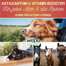 WEPO - Barf Hunde-Öl - 100% natürliches Omega 3 6 9 Fell-Haut-Haar Öl - 500ml-PET_SUPPLIES-EKNA GmbH & Co. KG