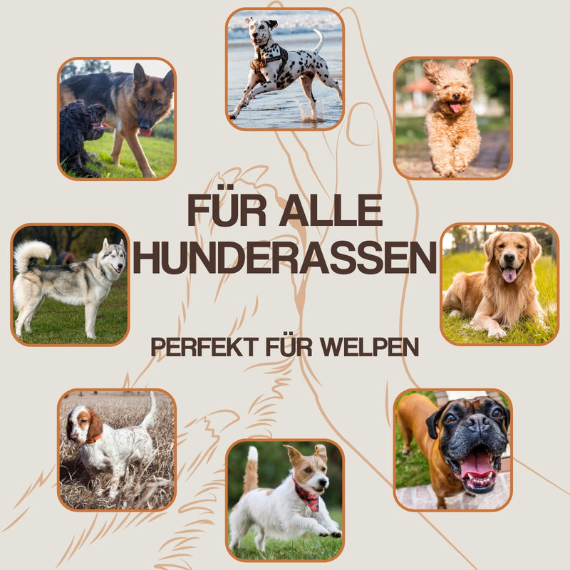 WEPO - Wurfspielzeug Hund - Kauring Ø 15cm - Div. Farben-PET_SUPPLIES-EKNA GmbH & Co. KG