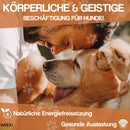 WEPO - Wurfspielzeug Hunde - Kauring Ø 9cm - Div. Farben-PET_SUPPLIES-EKNA GmbH & Co. KG