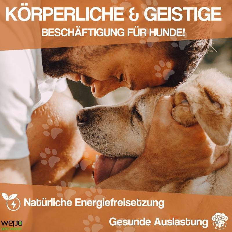 WEPO - Wurfspielzeug Hund - Kauring Ø 15cm - Div. Farben-PET_SUPPLIES-EKNA GmbH & Co. KG