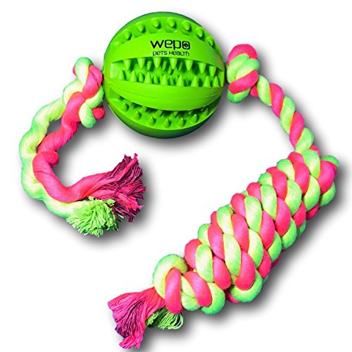 WEPO Hundespielzeug - Dental Schleuderball mit Seil aus Naturkautschuk-PET_SUPPLIES-EKNA GmbH & Co. KG